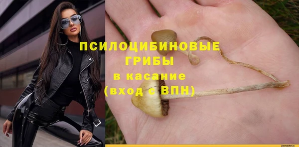 эйфоретик Абинск
