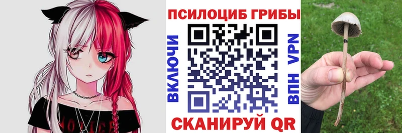 Псилоцибиновые грибы ЛСД Фурманов