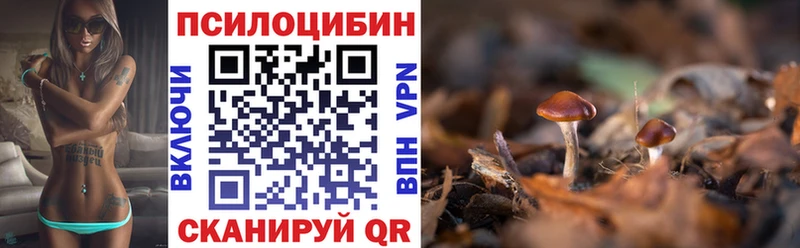 Псилоцибиновые грибы Magic Shrooms где купить наркоту это какой сайт Фурманов