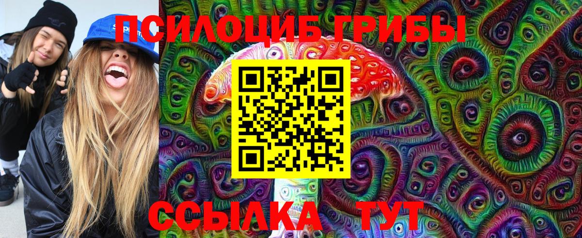 Фурманов  Галлюциногенные грибы Psilocybe  купить наркотики сайты  Псилоцибиновые грибы Psilocybine cubensis  Вход с VPN 