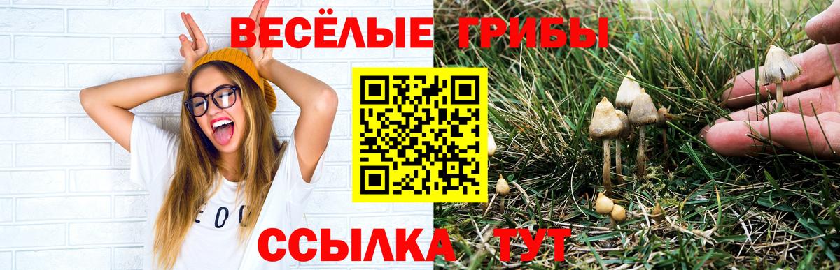 МЕФ   МАРИХУАНА  КОКАИН  Гашиш  ГАШ  A PVP СОЛЬ   Фурманов  Вход с VPN  ТГК 