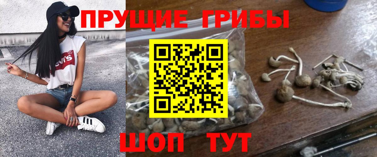 Галлюциногенные грибы GOLDEN TEACHER Фурманов